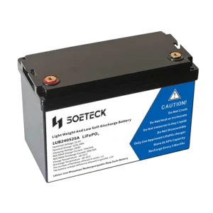 SOETECK 24v Lithium-ion Battery - 1