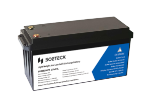 SOETECK 48v Lithium-ion Battery - 1