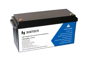 SOETECK 24v Lithium-ion Battery -2